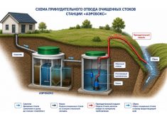 Аэробокс 2 Био