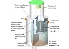 Панда Дана 4