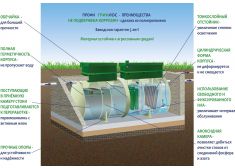 ГРИНЛОС Профи 10 Пр